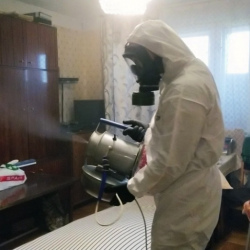 Дезинфекция от клопов в Светлограде