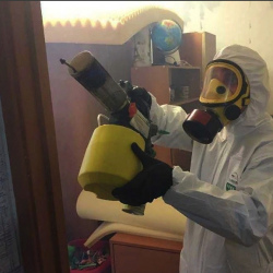 Уничтожение клопов в квартире. Светлоград
